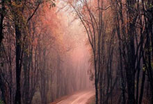 金沙国际：谁会先夺冠？盘点CBA那些还未获得总冠军的球队.