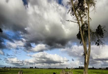 两连胜！奥格斯堡-沃尔夫斯堡，蒂茨破门，泽西格尔助攻.