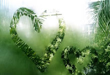 金沙国际：谁会先夺冠？盘点CBA那些还未获得总冠军的球队.