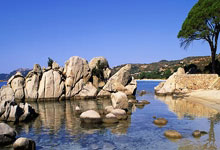 保底附加赛！勇士森林狼正式锁定西部前十.